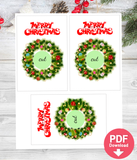 Christmas Gift Wreath Eos balm holder - DIY Christmas Gifts Co workers Friends Stocking fillers - INSTANT DOWNLOAD